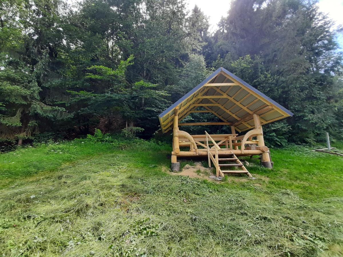 Під Боржавою Pilipets Exterior foto